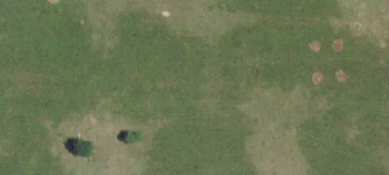 Norwood, MO 65717