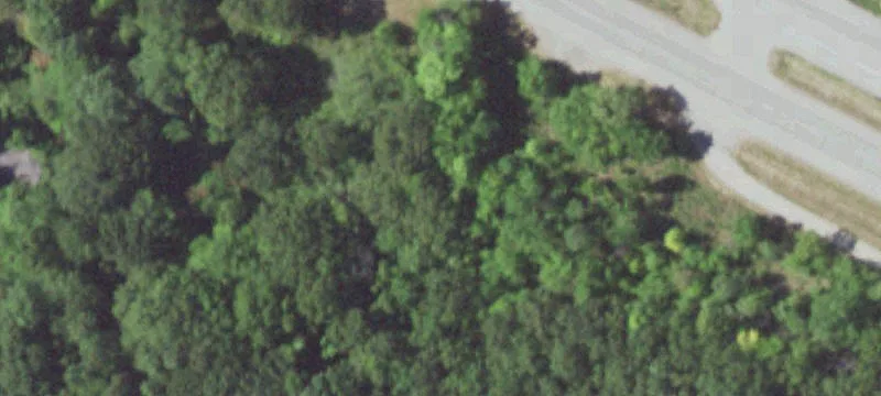 Saint Robert, MO 65584