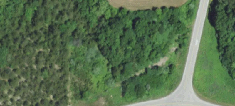 Service Rd