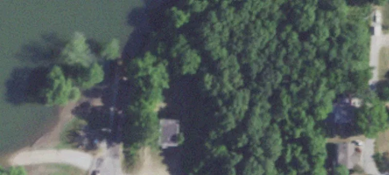 186 Forsyth Taneyville Rd