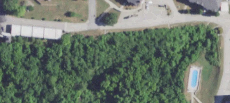 Forsyth, MO 65653