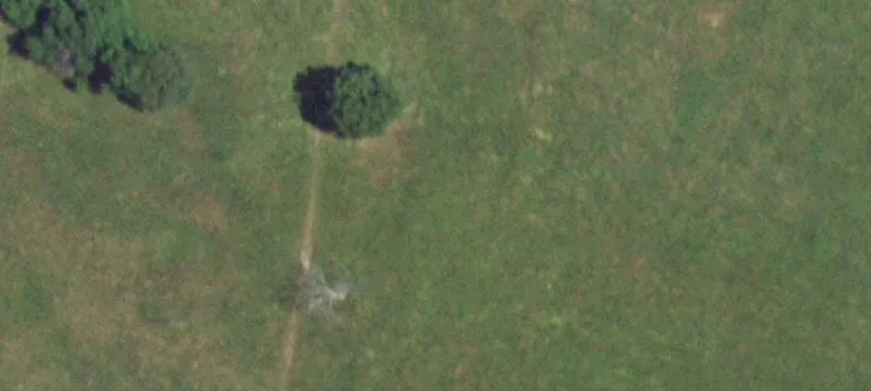 Norwood, MO 65717