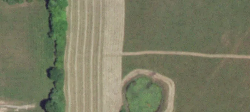 Grovespring, MO 65662