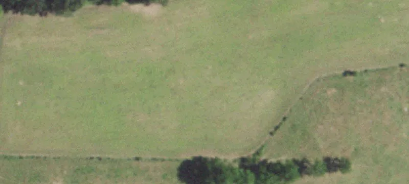 Norwood, MO 65717