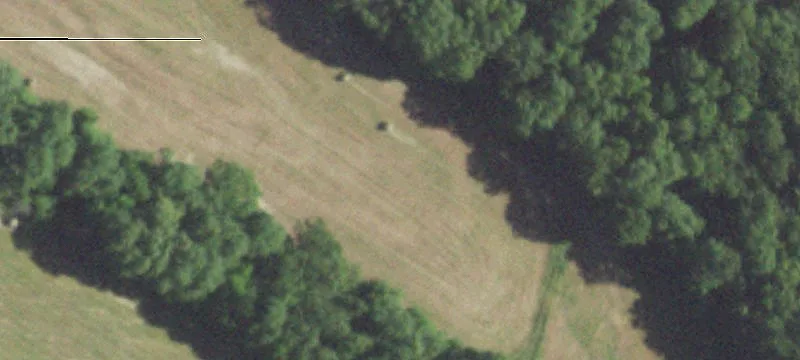 28360 Hwy 17