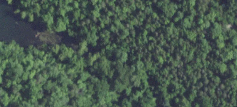 Powersite, MO 65731