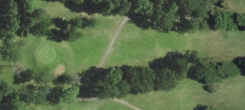Napoleon Dr