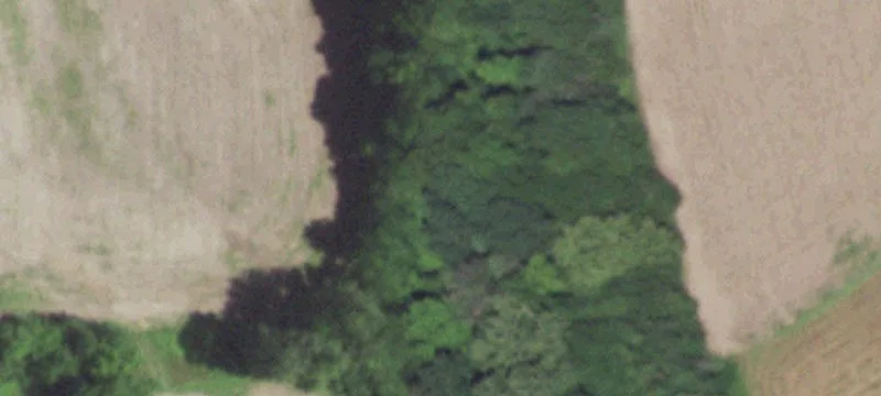Hackmann Rd
