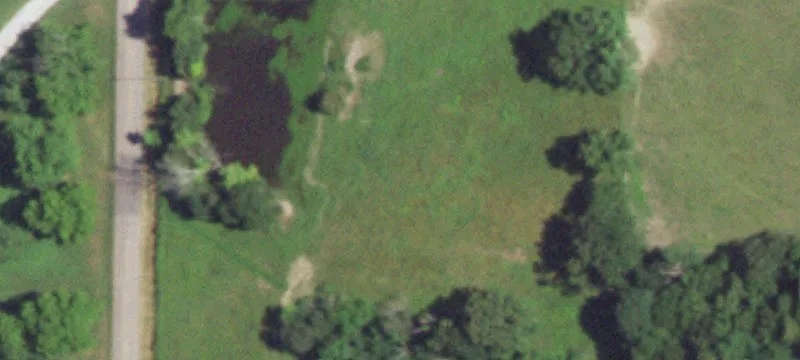 Norwood, MO 65717