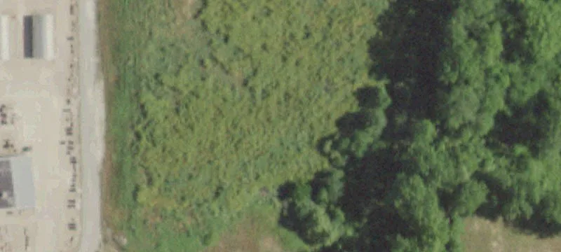Blackberry Ln