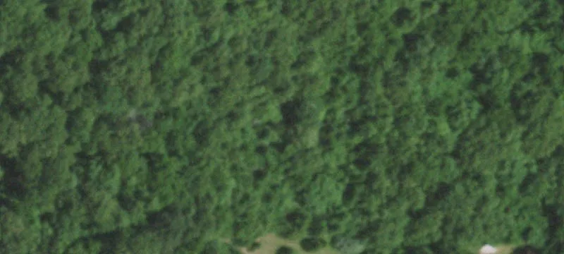 79 Farmer Rd