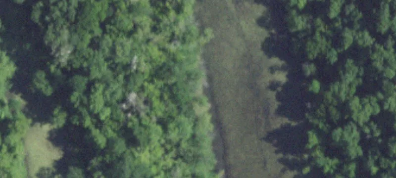 Forsyth, MO 65653