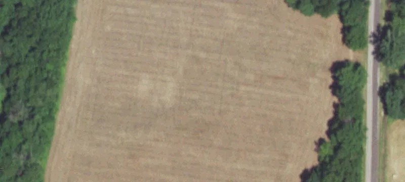 Denmark Rd