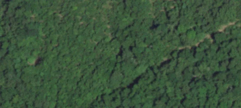 Grovespring, MO 65662