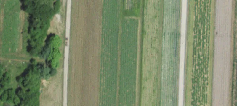 Rich Hill, MO 64779