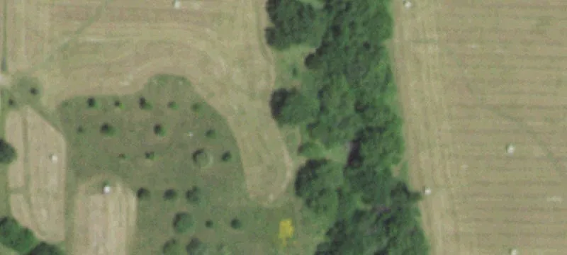 16835 State Rte 18