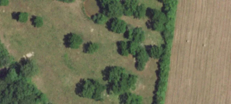 Grovespring, MO 65662