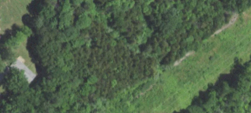 100 Old Hwy O O