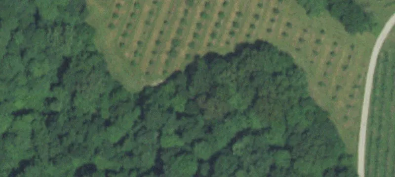 3243 State Hwy 34