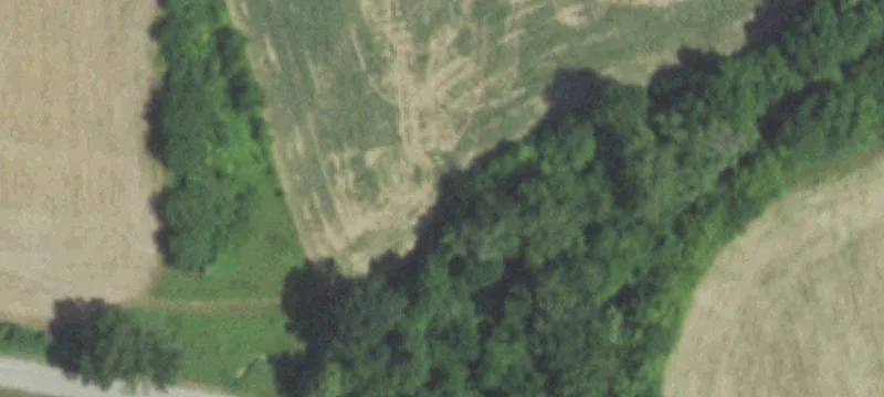 1920 County Rd 508