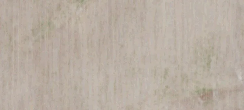 Kafir