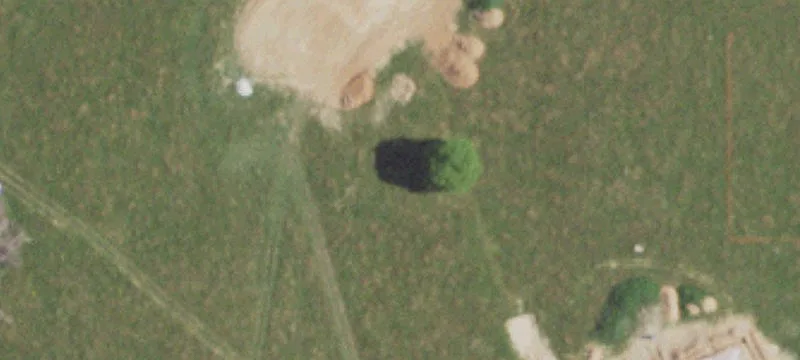 7979 Farm Rd 182