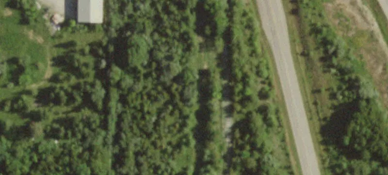 Woodlawn Dr