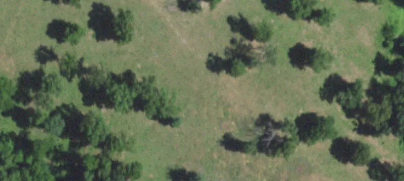 Grovespring, MO 65662