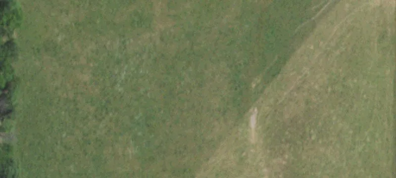 Grovespring, MO 65662