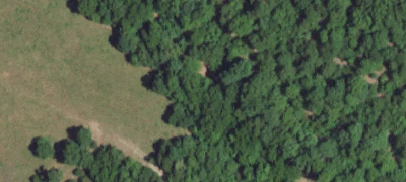 Grovespring, MO 65662