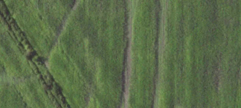 Watson, MO 64496