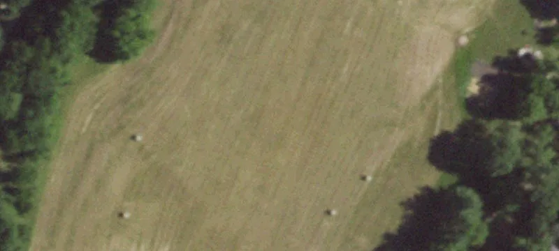 Kingsville, MO 64061