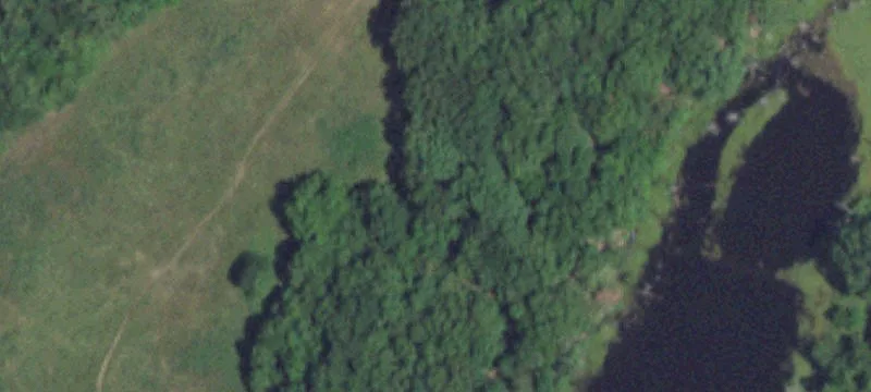 2911 Old Tuscumbia Rd