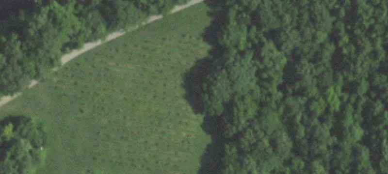 883 County Hwy 321
