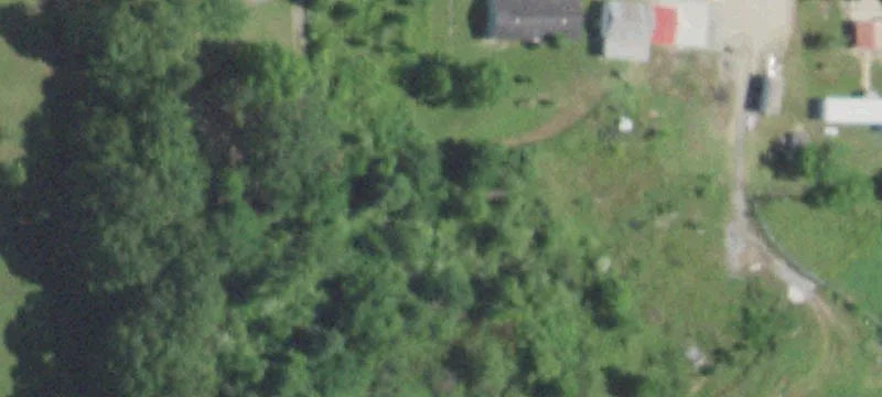 Fairdealing, MO 63939