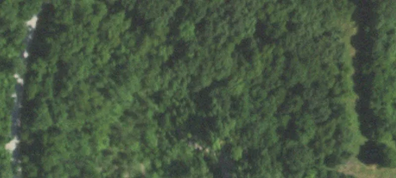 Sweet Springs, MO 65351