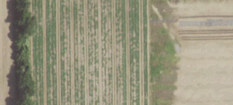 Benton, MO 63736