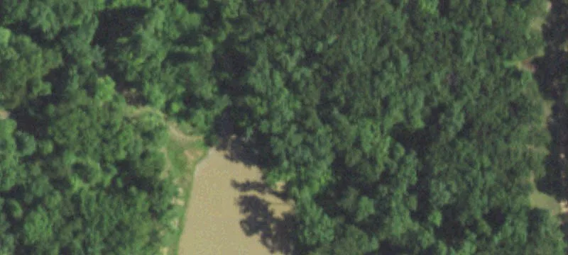 492 County Rd 321