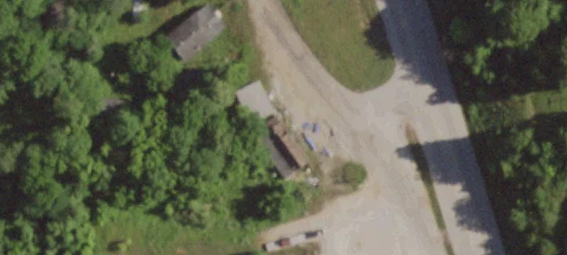 Silva, MO 63964