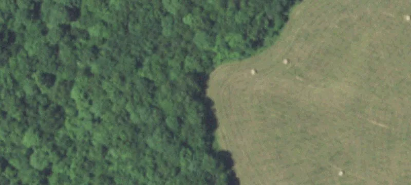 Sedgewickville, MO 63781