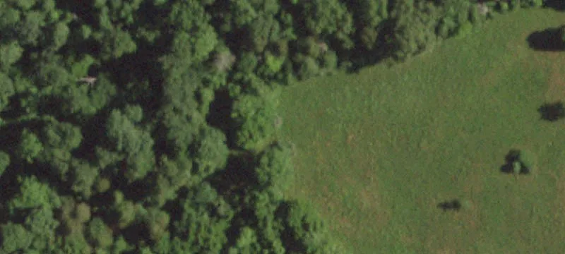 Patterson, MO 63956