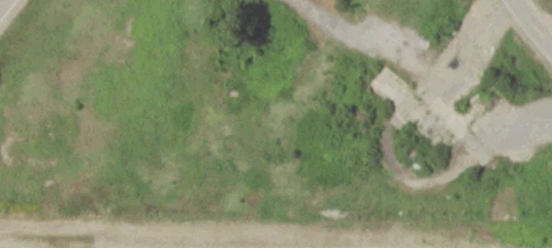 Steele, MO 63877