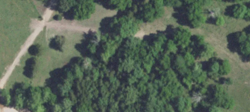 31950 State Hwy 32