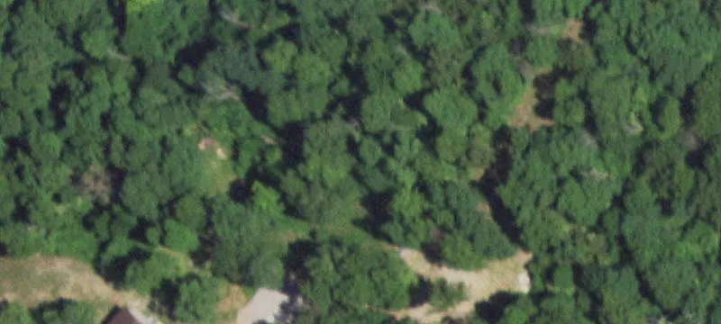 Gainesville, MO 65655