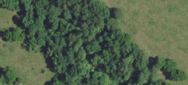 Wasola, MO 65773
