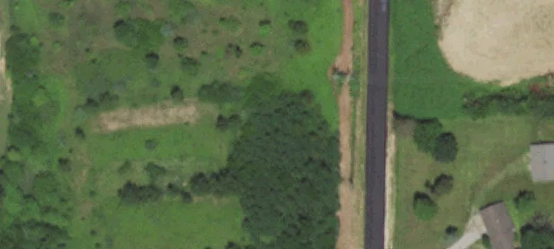 Forrest Dr