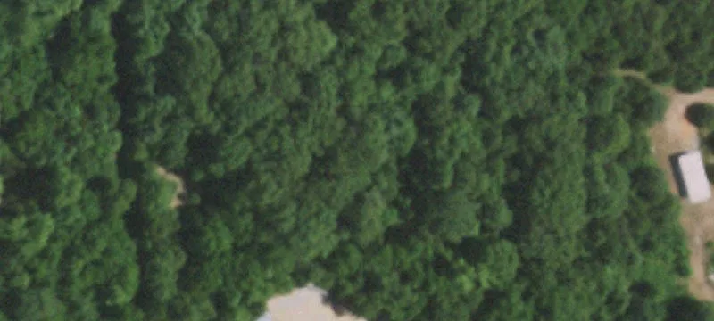 254 Holly Ln