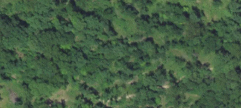 31733 Aqua Vita Rd