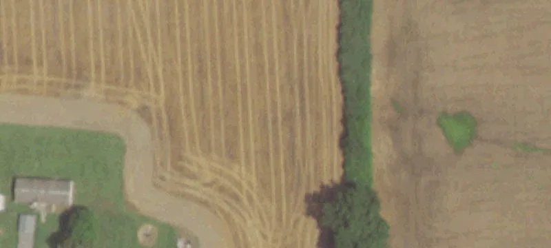 Steele, MO 63877