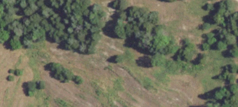 Gainesville, MO 65655